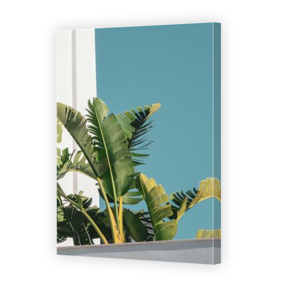 Thumbnail for Canvas - Mirror Image Canvas Wrap