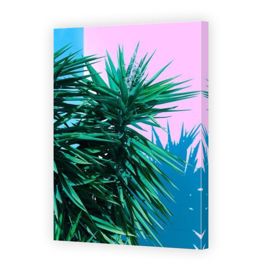 Thumbnail for Canvas - Mirror Image Canvas Wrap