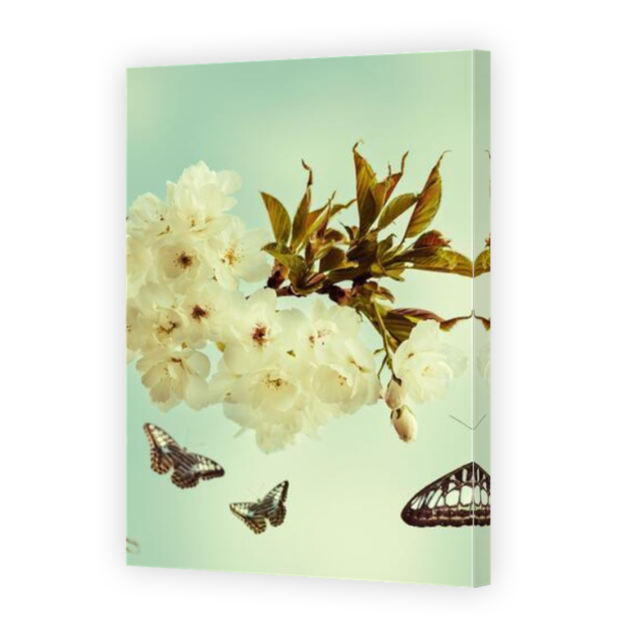 Thumbnail for Canvas - Mirror Image Canvas Wrap