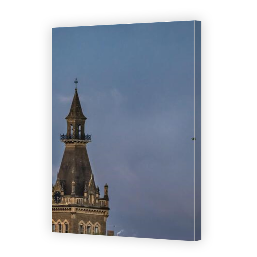 Thumbnail for Canvas - Mirror Image Canvas Wrap