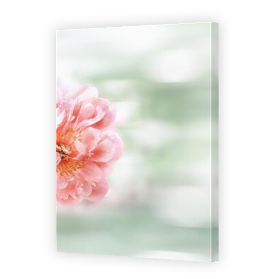 Thumbnail for Canvas - Mirror Image Canvas Wrap