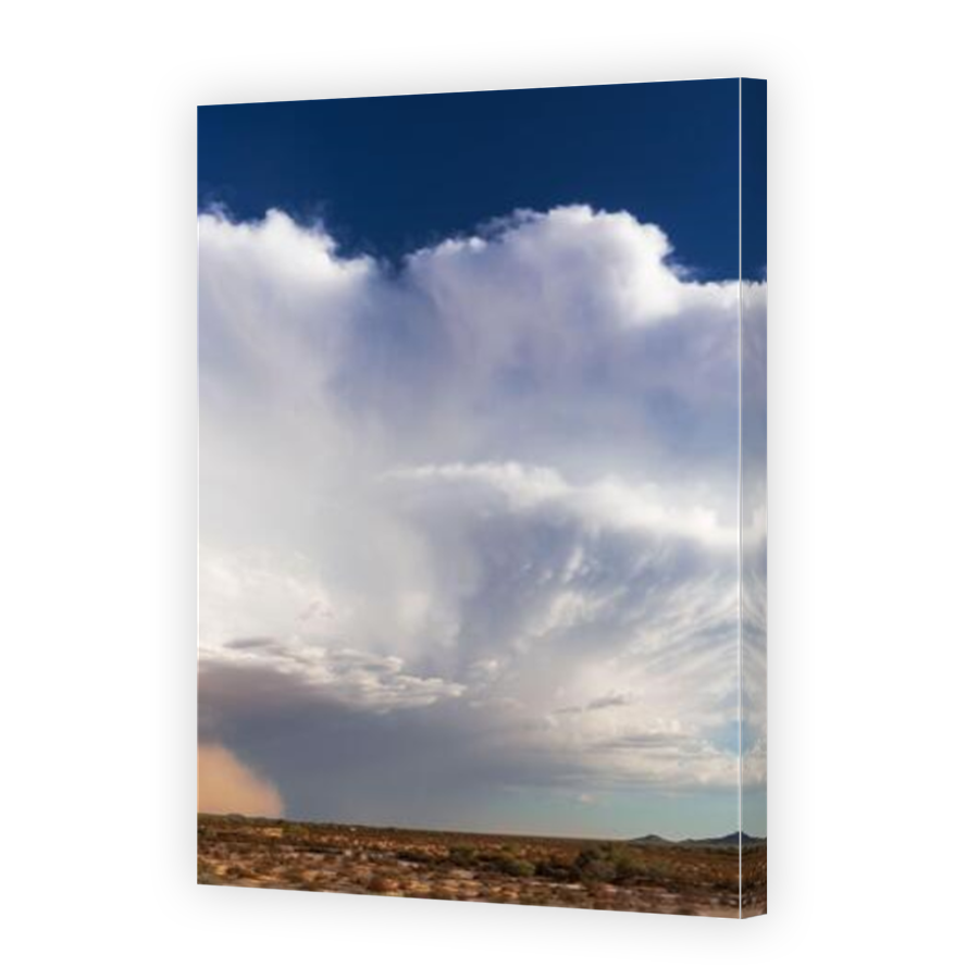 Thumbnail for Canvas - Mirror Image Canvas Wrap