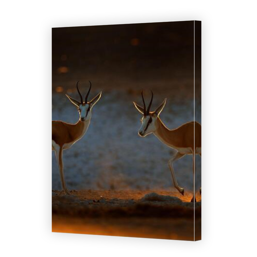 Thumbnail for Canvas - Mirror Image Canvas Wrap