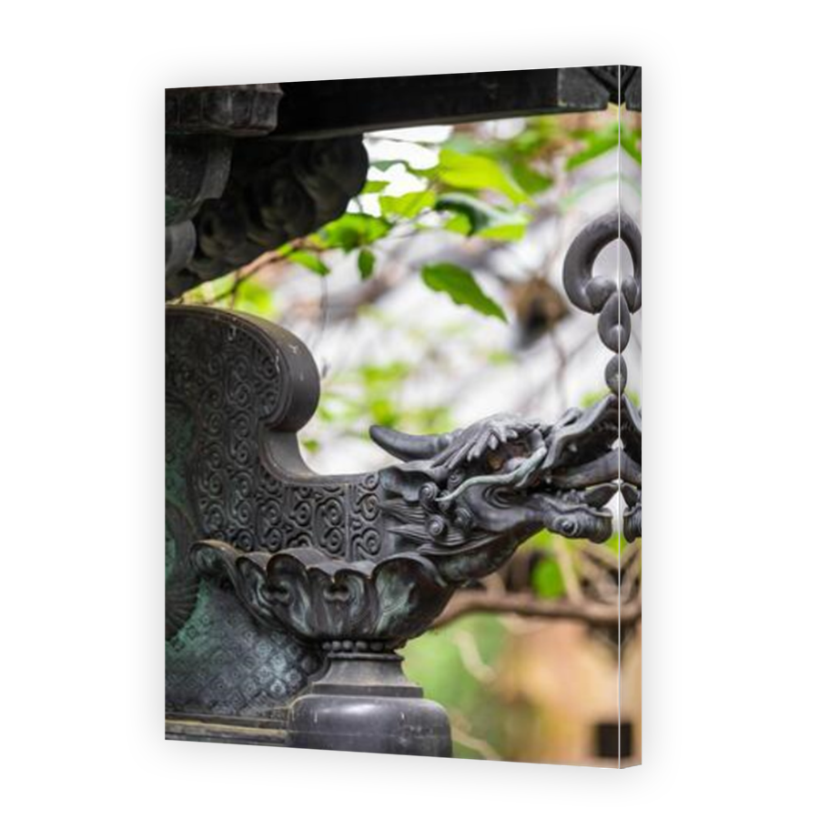 Thumbnail for Canvas - Mirror Image Canvas Wrap
