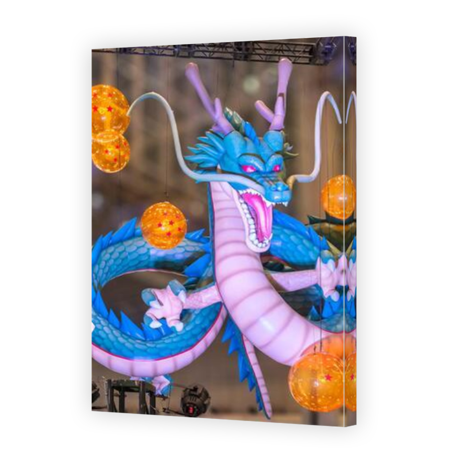 Thumbnail for Canvas - Mirror Image Canvas Wrap