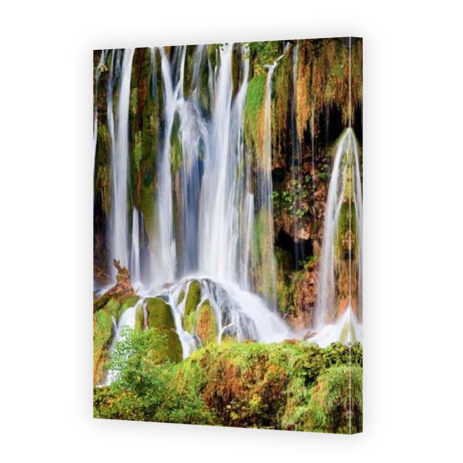 Thumbnail for Canvas - Mirror Image Canvas Wrap