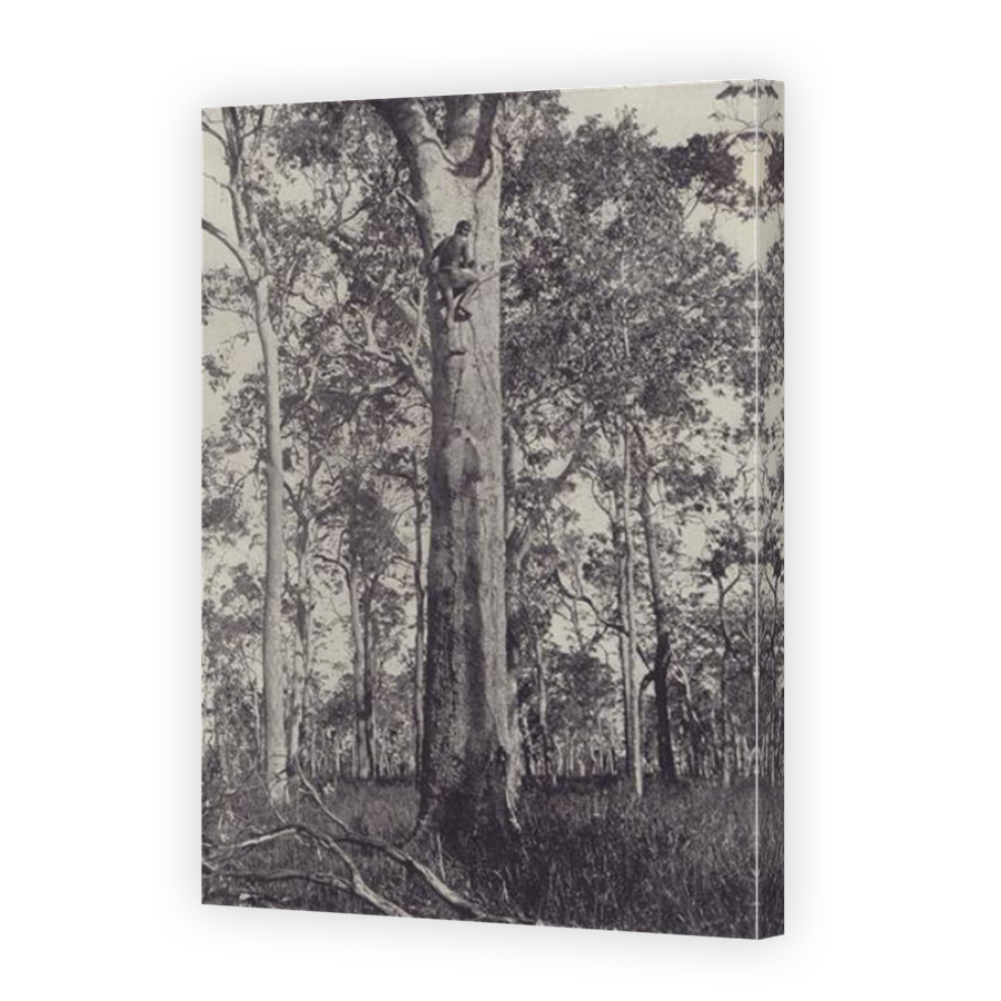 Thumbnail for Canvas - Mirror Image Canvas Wrap