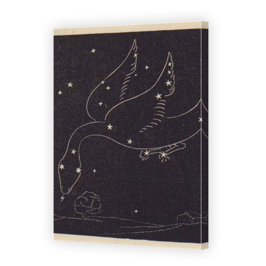 Thumbnail for Canvas - Mirror Image Canvas Wrap