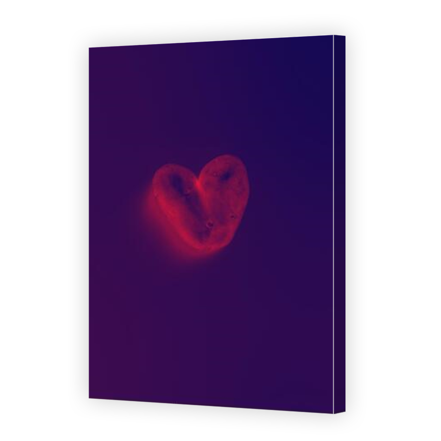 Thumbnail for Canvas - Mirror Image Canvas Wrap