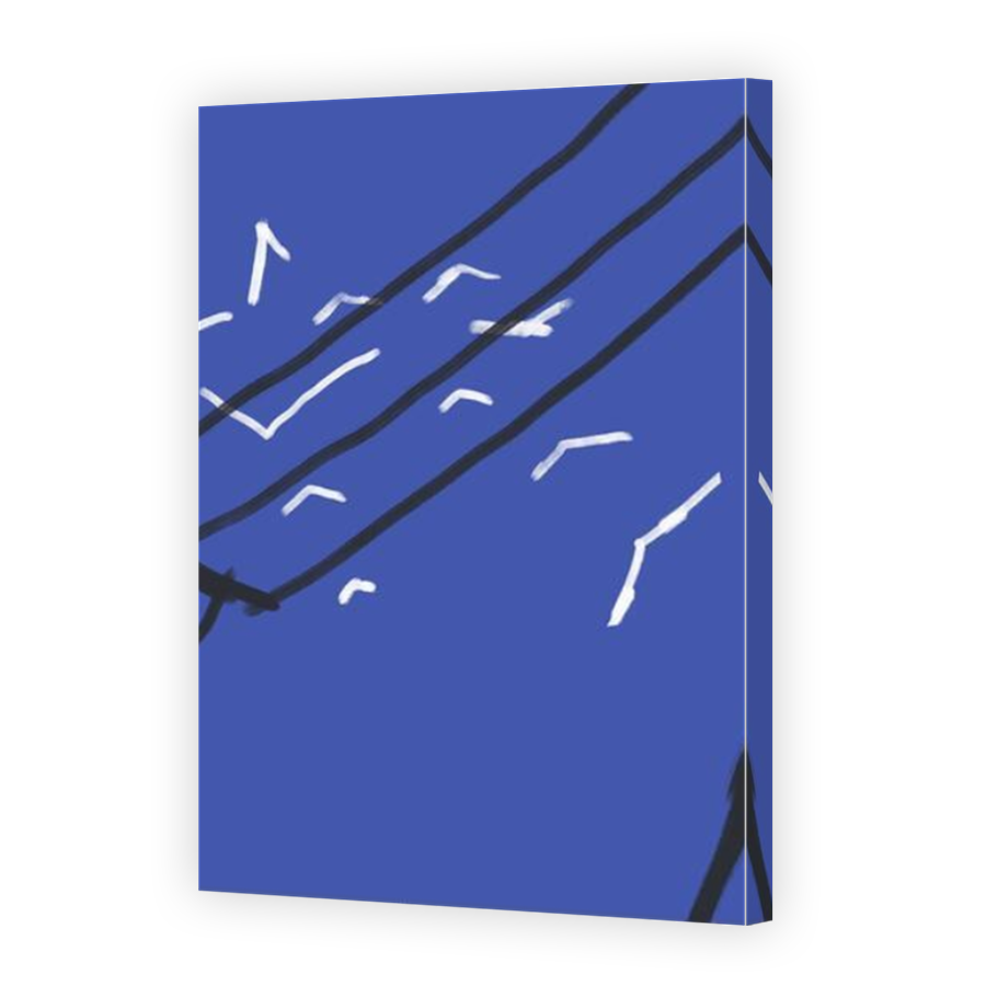 Thumbnail for Canvas - Mirror Image Canvas Wrap