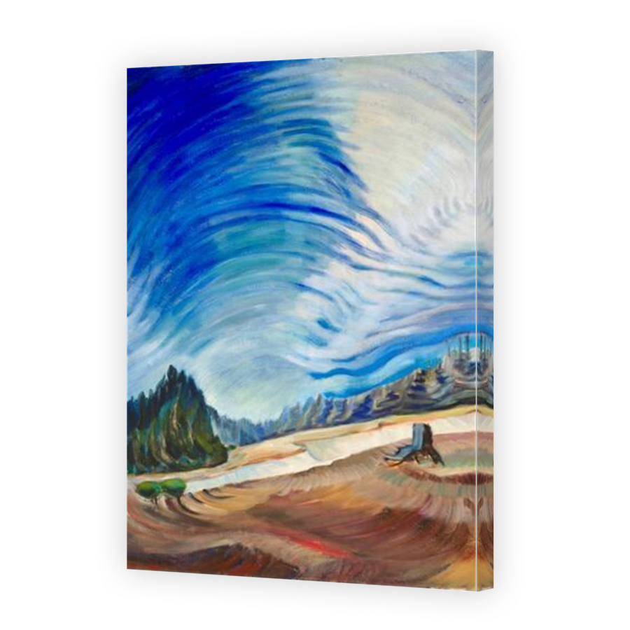 Thumbnail for Canvas - Mirror Image Canvas Wrap