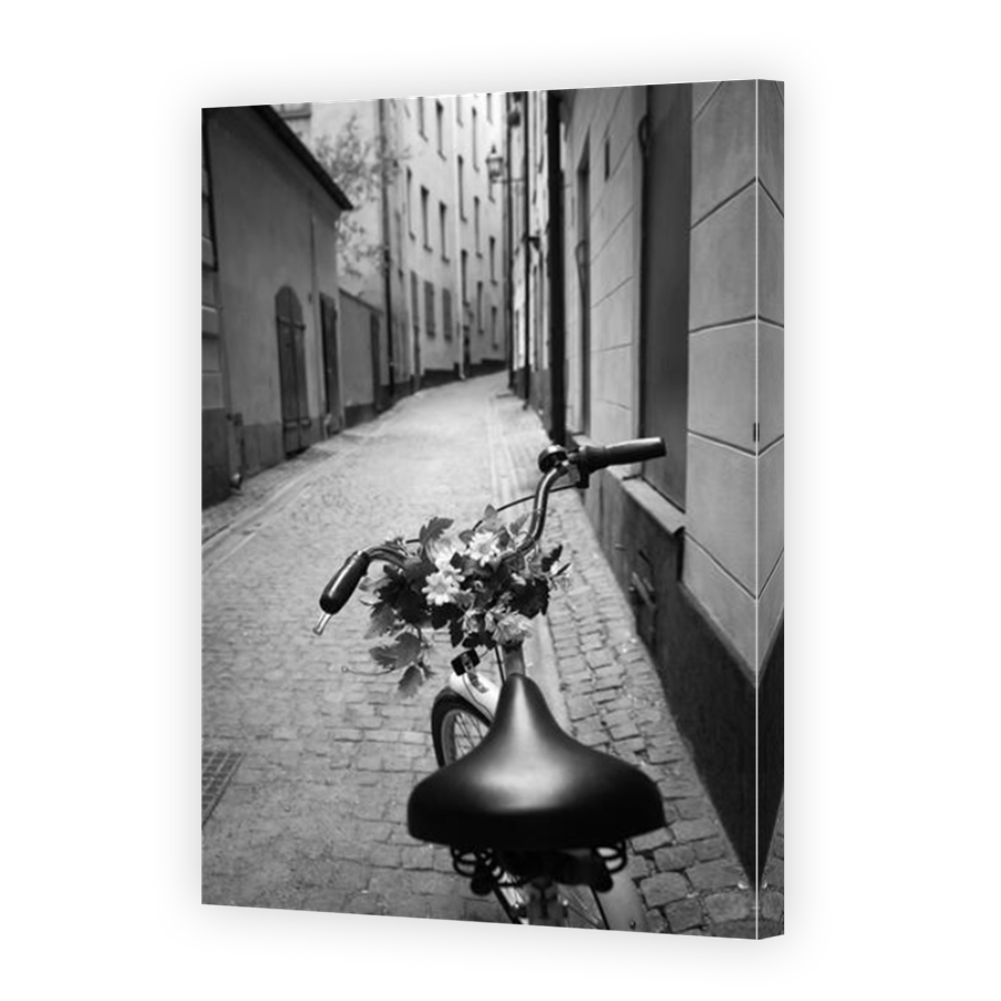 Thumbnail for Canvas - Mirror Image Canvas Wrap