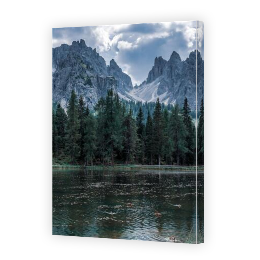 Thumbnail for Canvas - Mirror Image Canvas Wrap