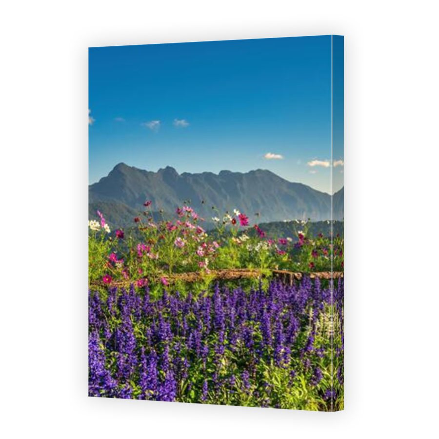 Thumbnail for Canvas - Mirror Image Canvas Wrap