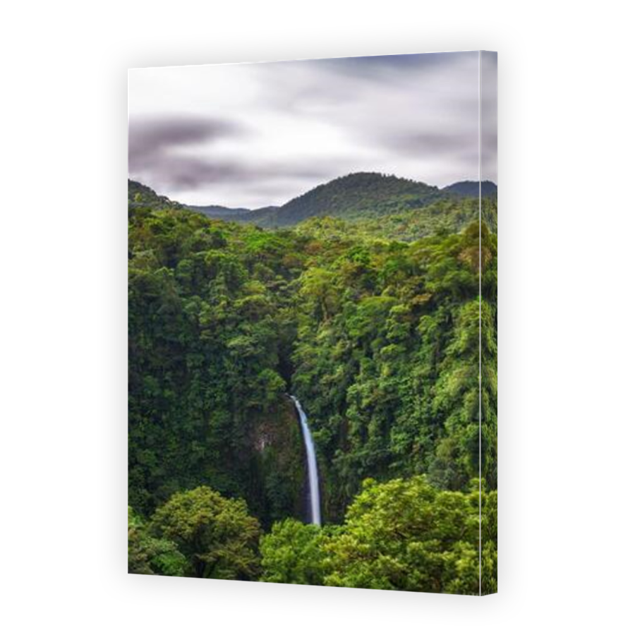 Thumbnail for Canvas - Mirror Image Canvas Wrap