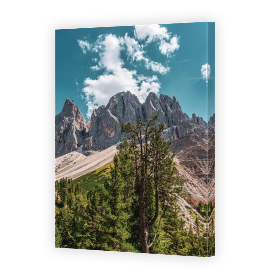 Thumbnail for Canvas - Mirror Image Canvas Wrap