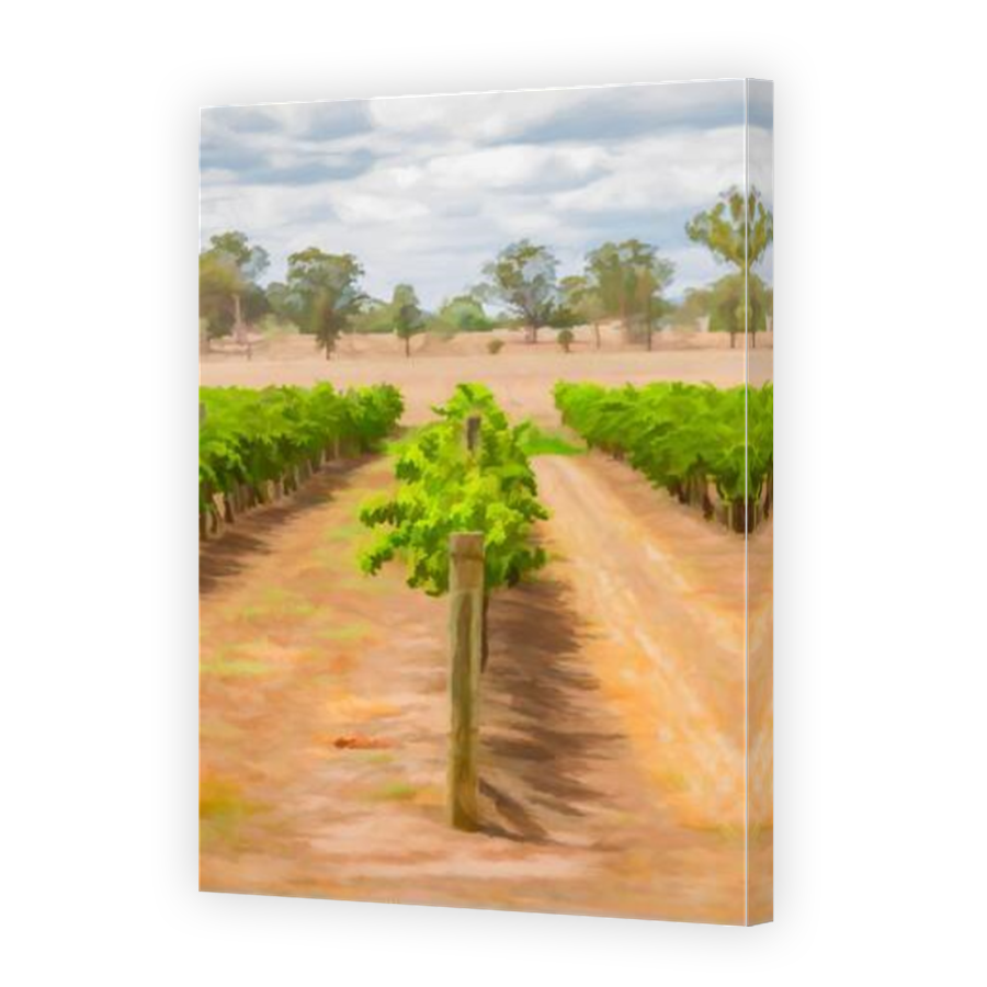 Thumbnail for Canvas - Mirror Image Canvas Wrap