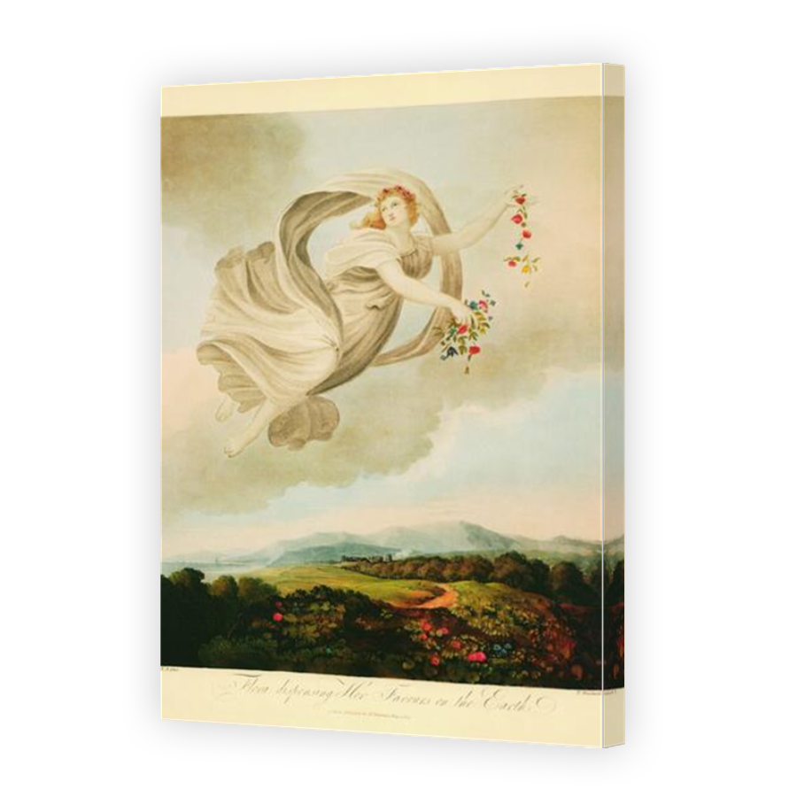 Thumbnail for Canvas - Mirror Image Canvas Wrap