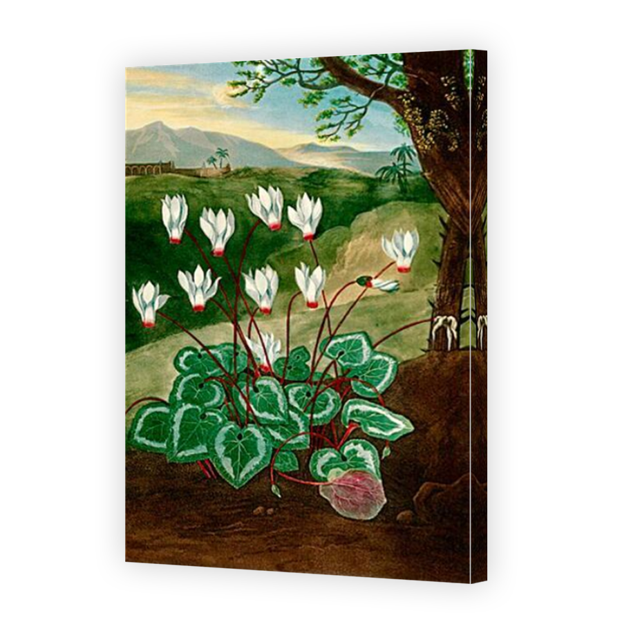 Thumbnail for Canvas - Mirror Image Canvas Wrap