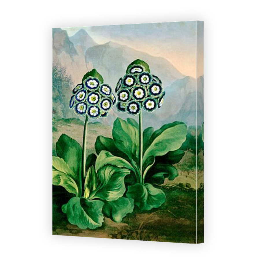 Thumbnail for Canvas - Mirror Image Canvas Wrap
