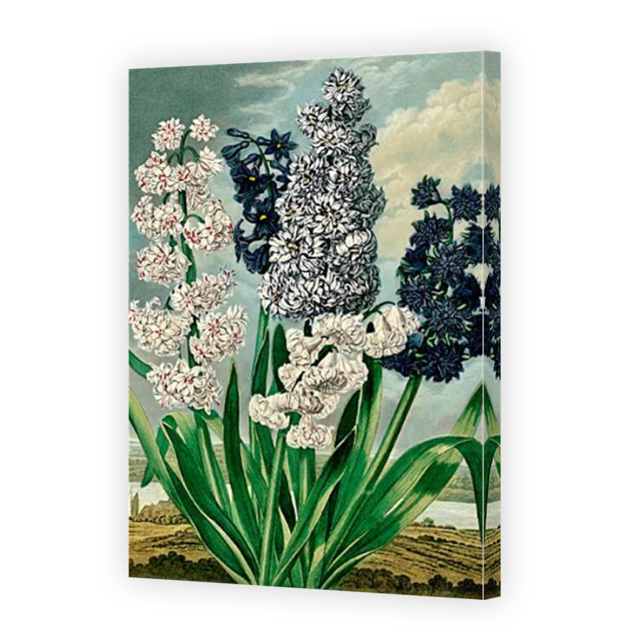 Thumbnail for Canvas - Mirror Image Canvas Wrap