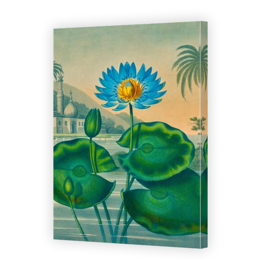 Thumbnail for Canvas - Mirror Image Canvas Wrap