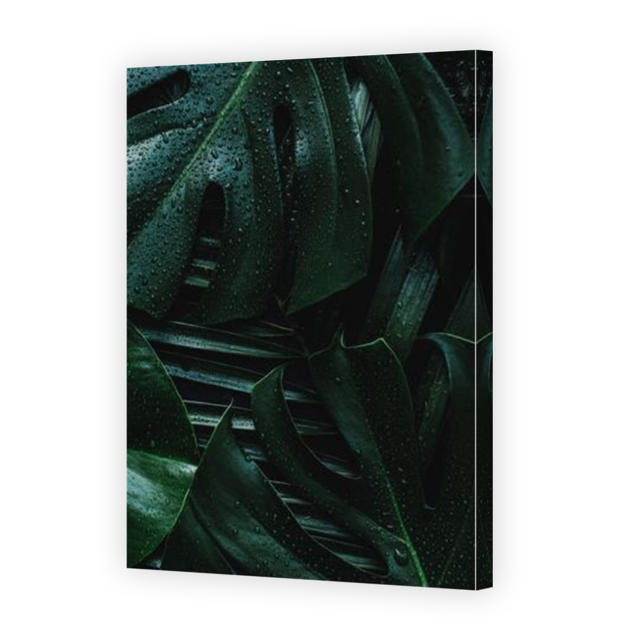 Thumbnail for Canvas - Mirror Image Canvas Wrap