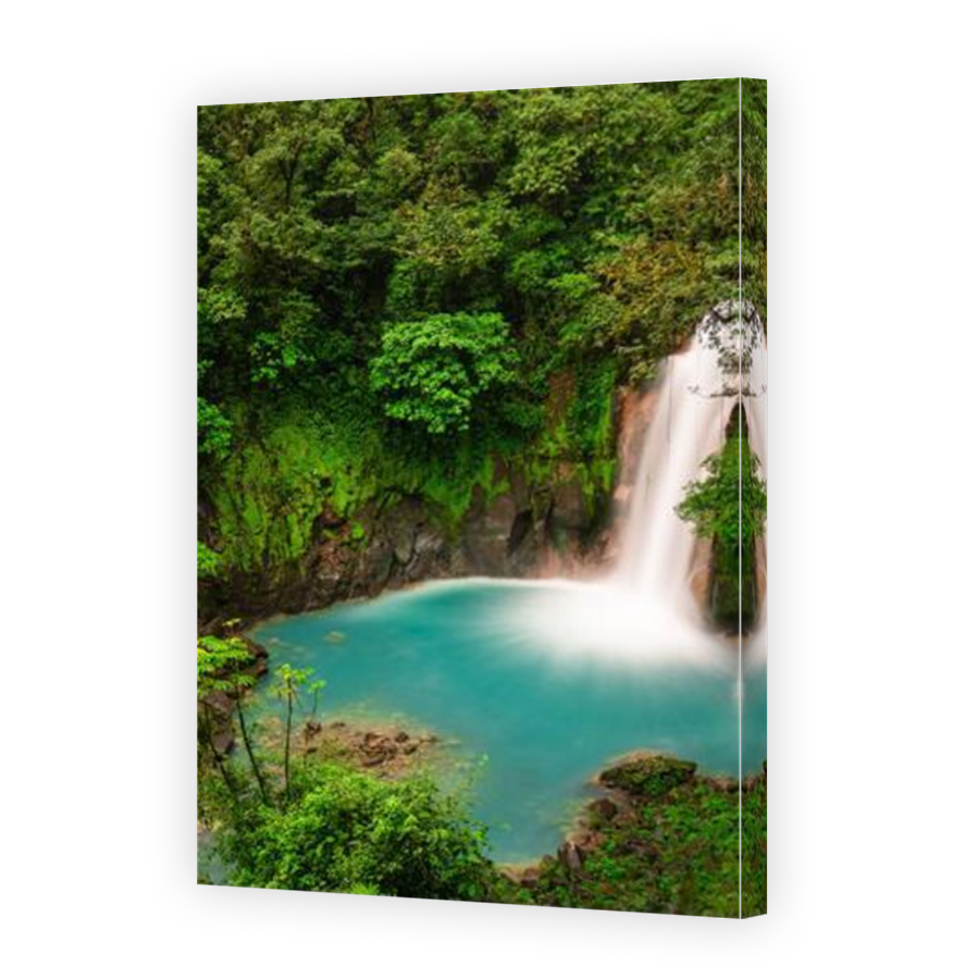 Thumbnail for Canvas - Mirror Image Canvas Wrap