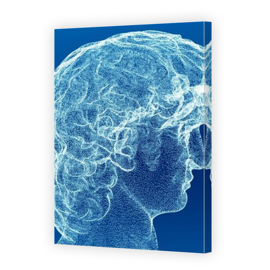 Thumbnail for Canvas - Mirror Image Canvas Wrap