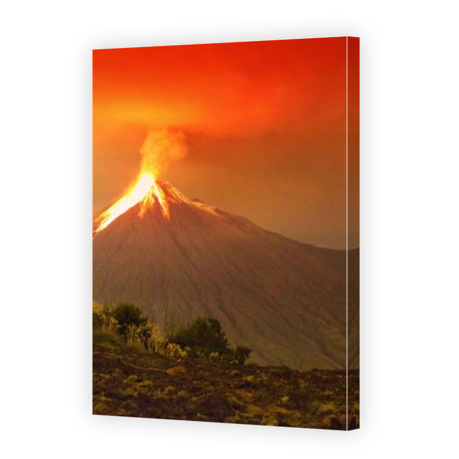 Thumbnail for Canvas - Mirror Image Canvas Wrap