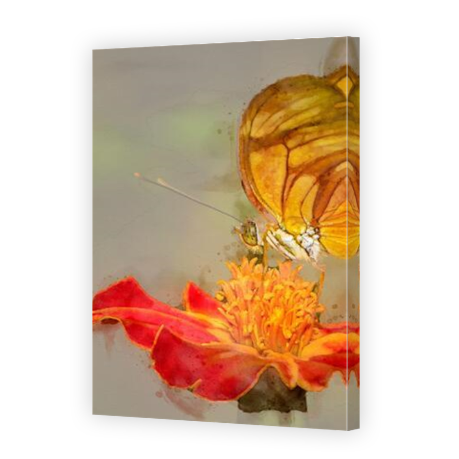 Thumbnail for Canvas - Mirror Image Canvas Wrap