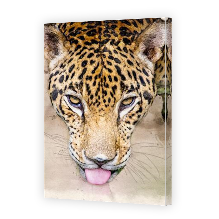 Thumbnail for Canvas - Mirror Image Canvas Wrap