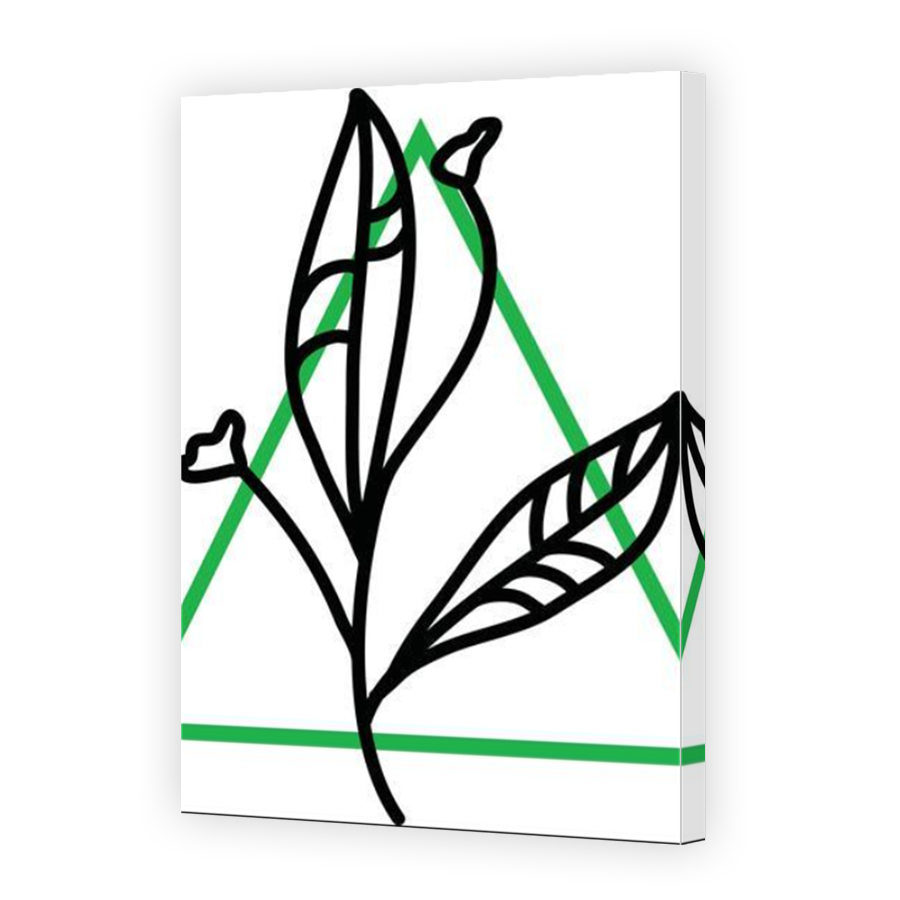 Thumbnail for Canvas - Mirror Image Canvas Wrap