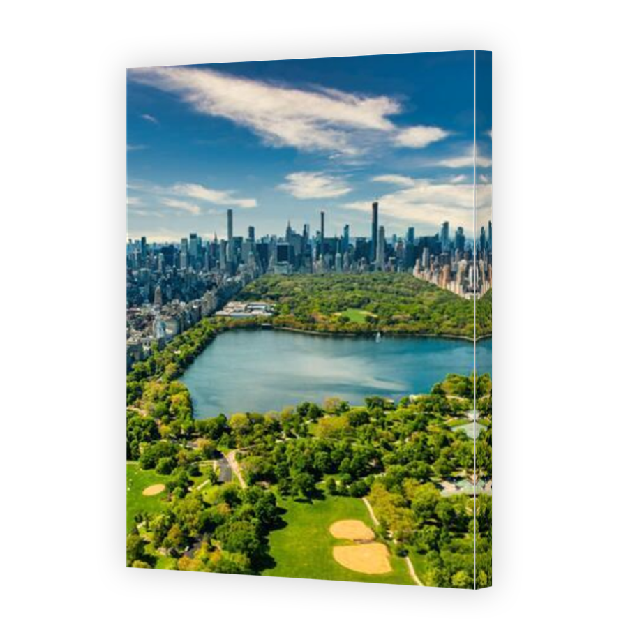 Thumbnail for Canvas - Mirror Image Canvas Wrap