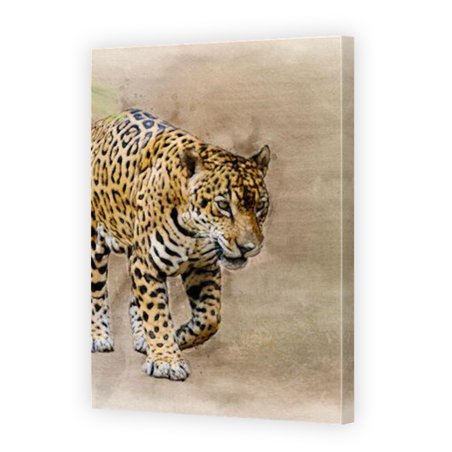 Thumbnail for Canvas - Mirror Image Canvas Wrap