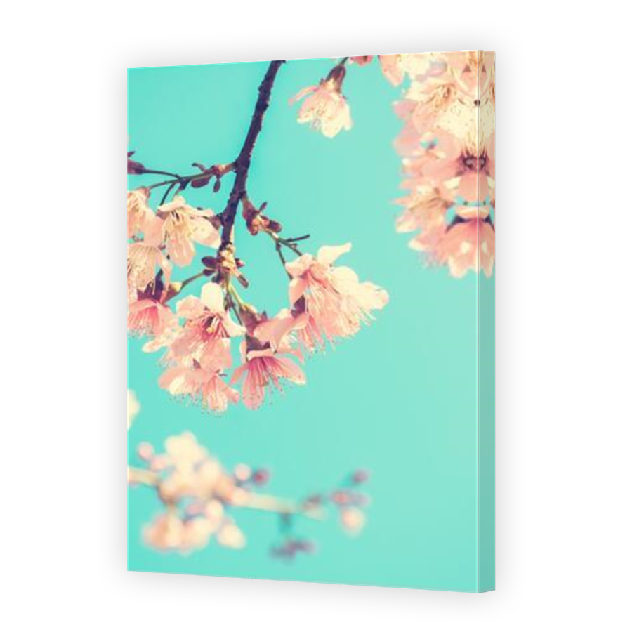 Thumbnail for Canvas - Mirror Image Canvas Wrap