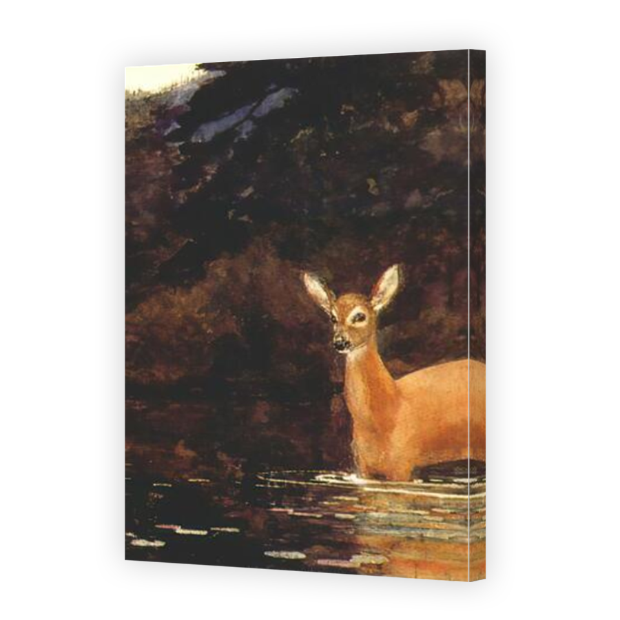 Thumbnail for Canvas - Mirror Image Canvas Wrap