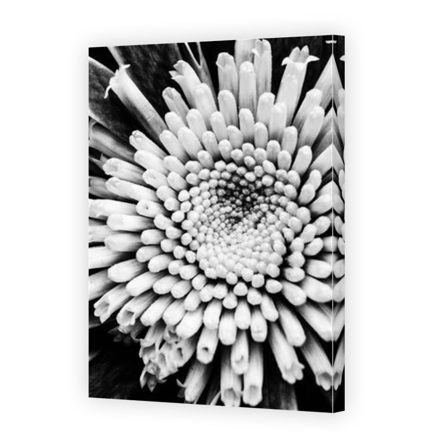 Thumbnail for Canvas - Mirror Image Canvas Wrap