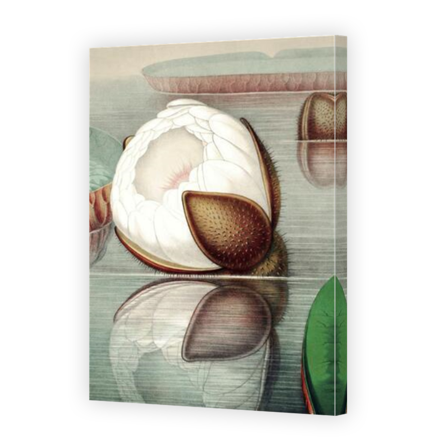 Thumbnail for Canvas - Mirror Image Canvas Wrap
