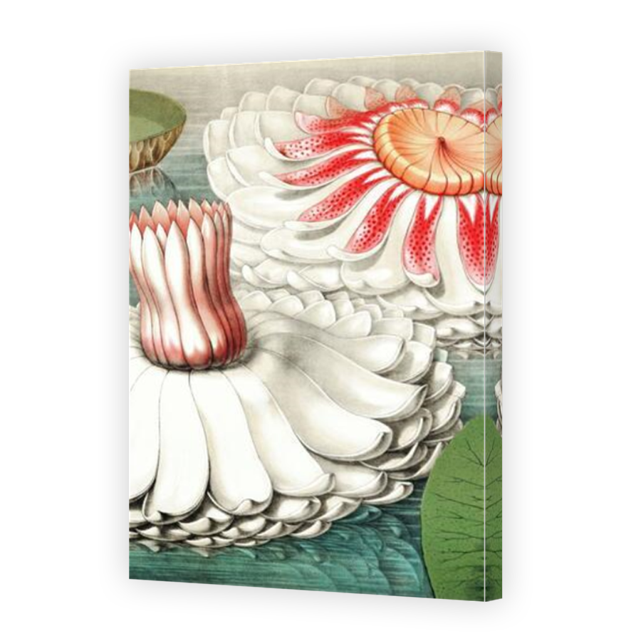 Thumbnail for Canvas - Mirror Image Canvas Wrap