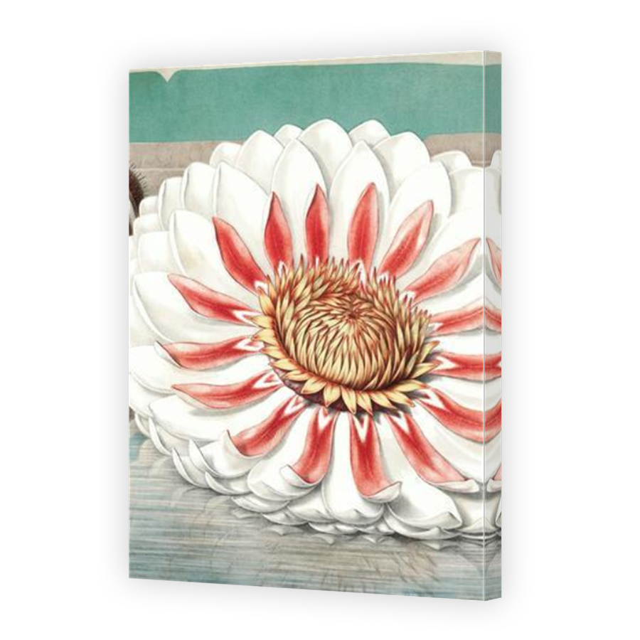 Thumbnail for Canvas - Mirror Image Canvas Wrap