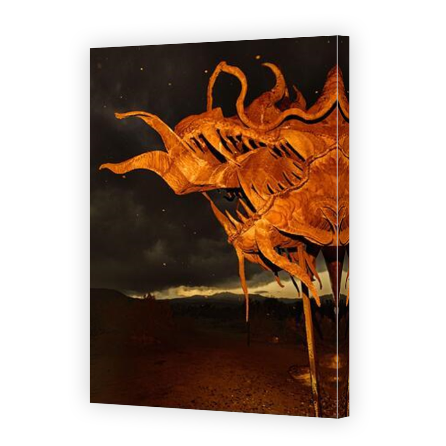 Thumbnail for Canvas - Mirror Image Canvas Wrap