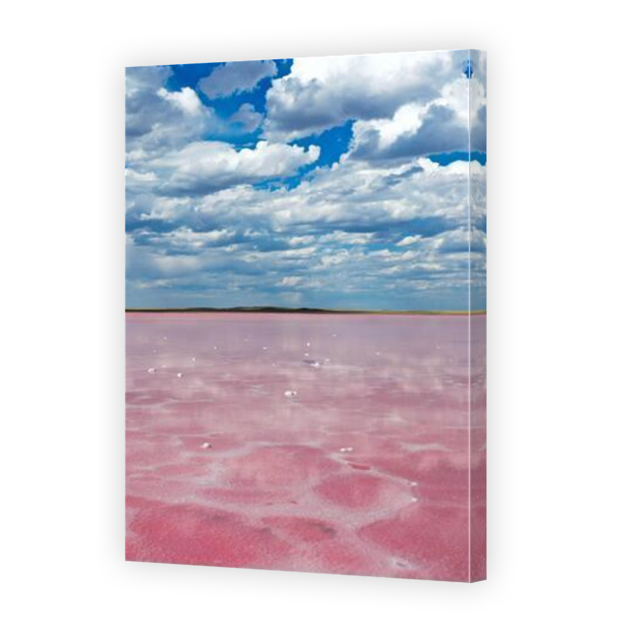 Thumbnail for Canvas - Mirror Image Canvas Wrap