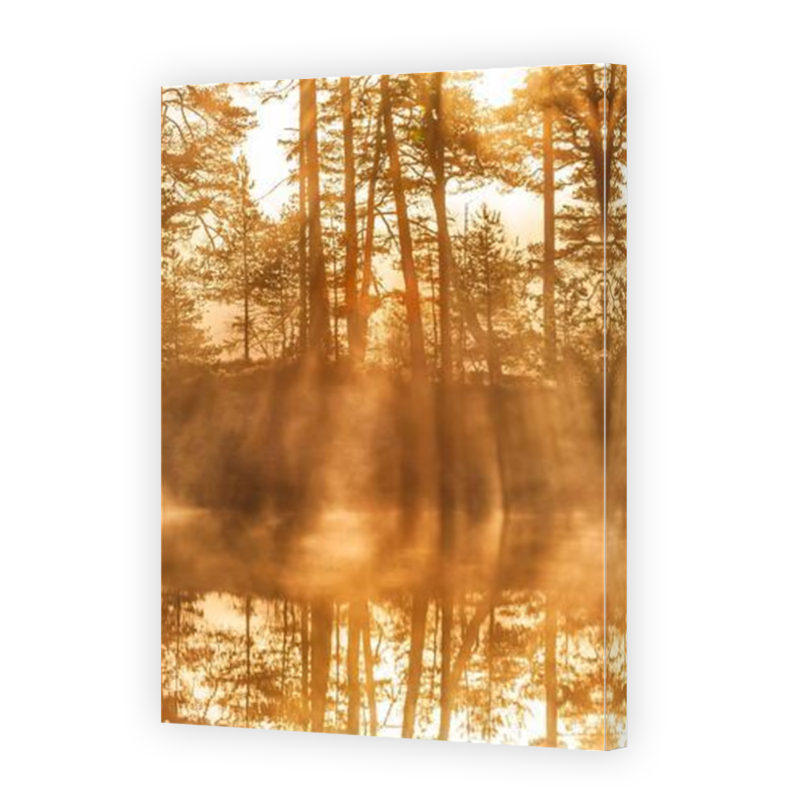 Thumbnail for Canvas - Mirror Image Canvas Wrap