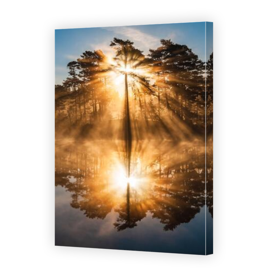 Thumbnail for Canvas - Mirror Image Canvas Wrap