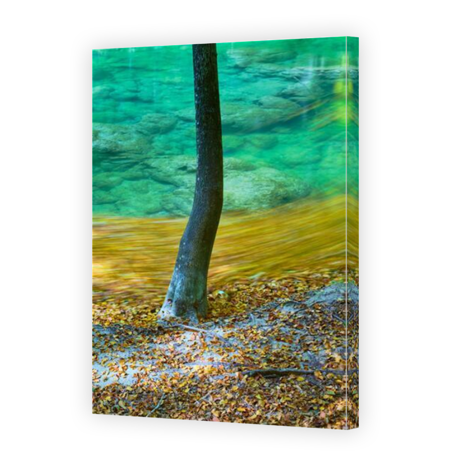 Thumbnail for Canvas - Mirror Image Canvas Wrap
