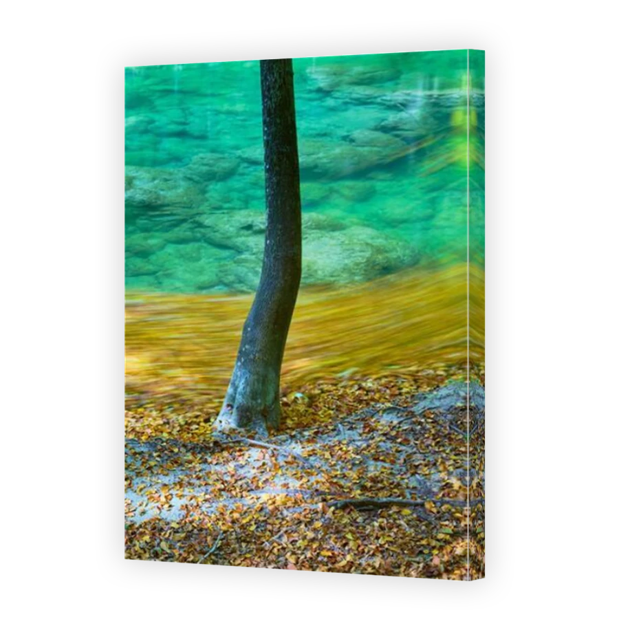 Thumbnail for Canvas - Mirror Image Canvas Wrap