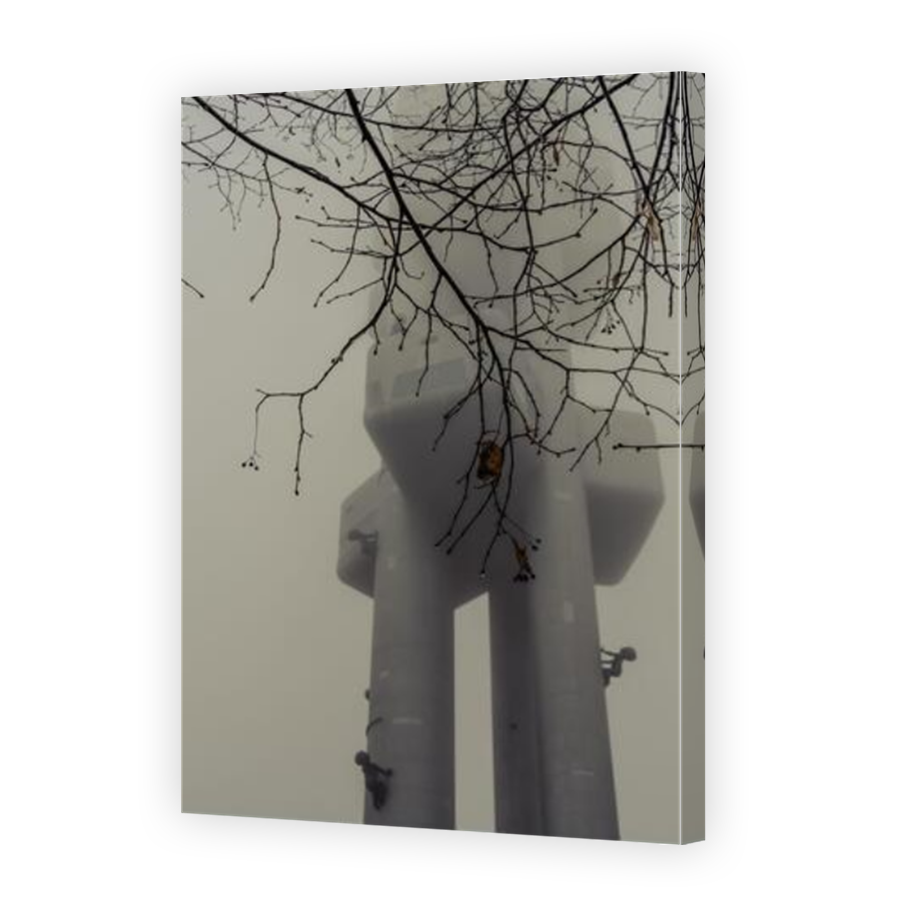 Thumbnail for Canvas - Mirror Image Canvas Wrap