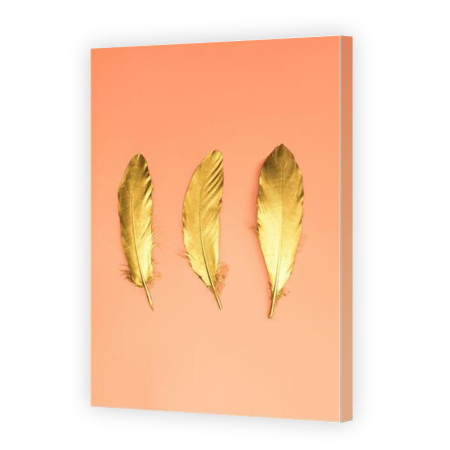 Thumbnail for Canvas - Mirror Image Canvas Wrap
