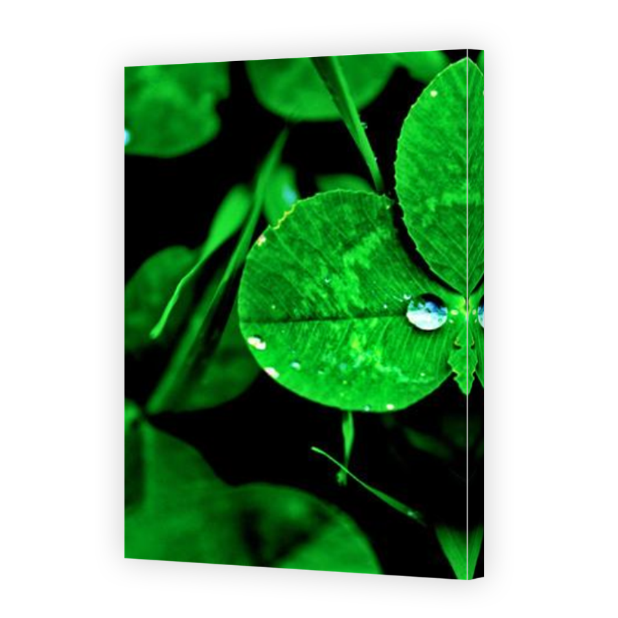 Thumbnail for Canvas - Mirror Image Canvas Wrap